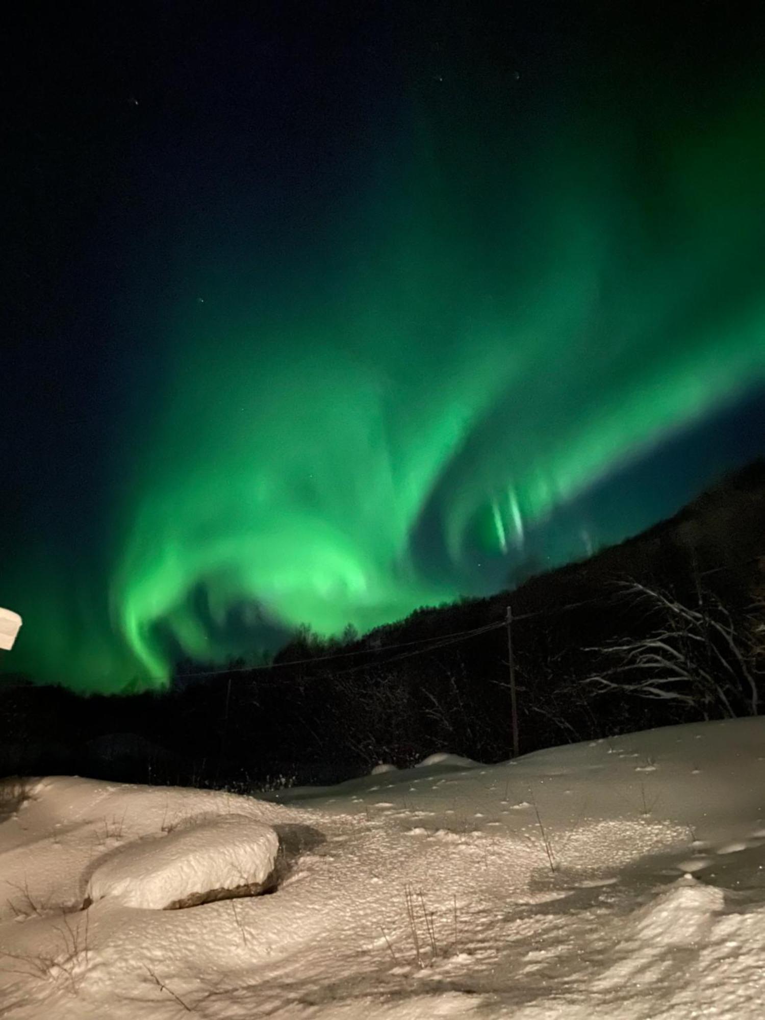 Sjarmerende Anneks I Sigerfjord, Vesteralen ソルトラン エクステリア 写真